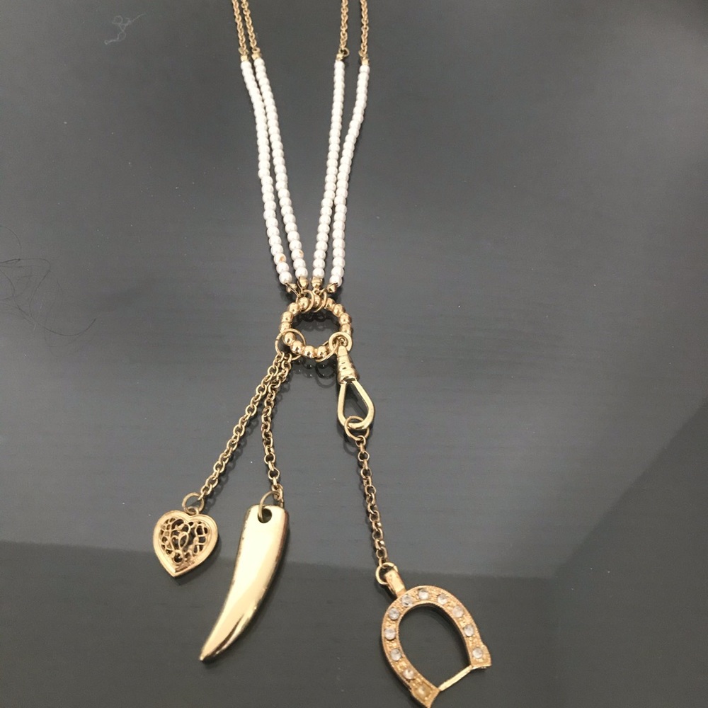 Charming Charlie necklace